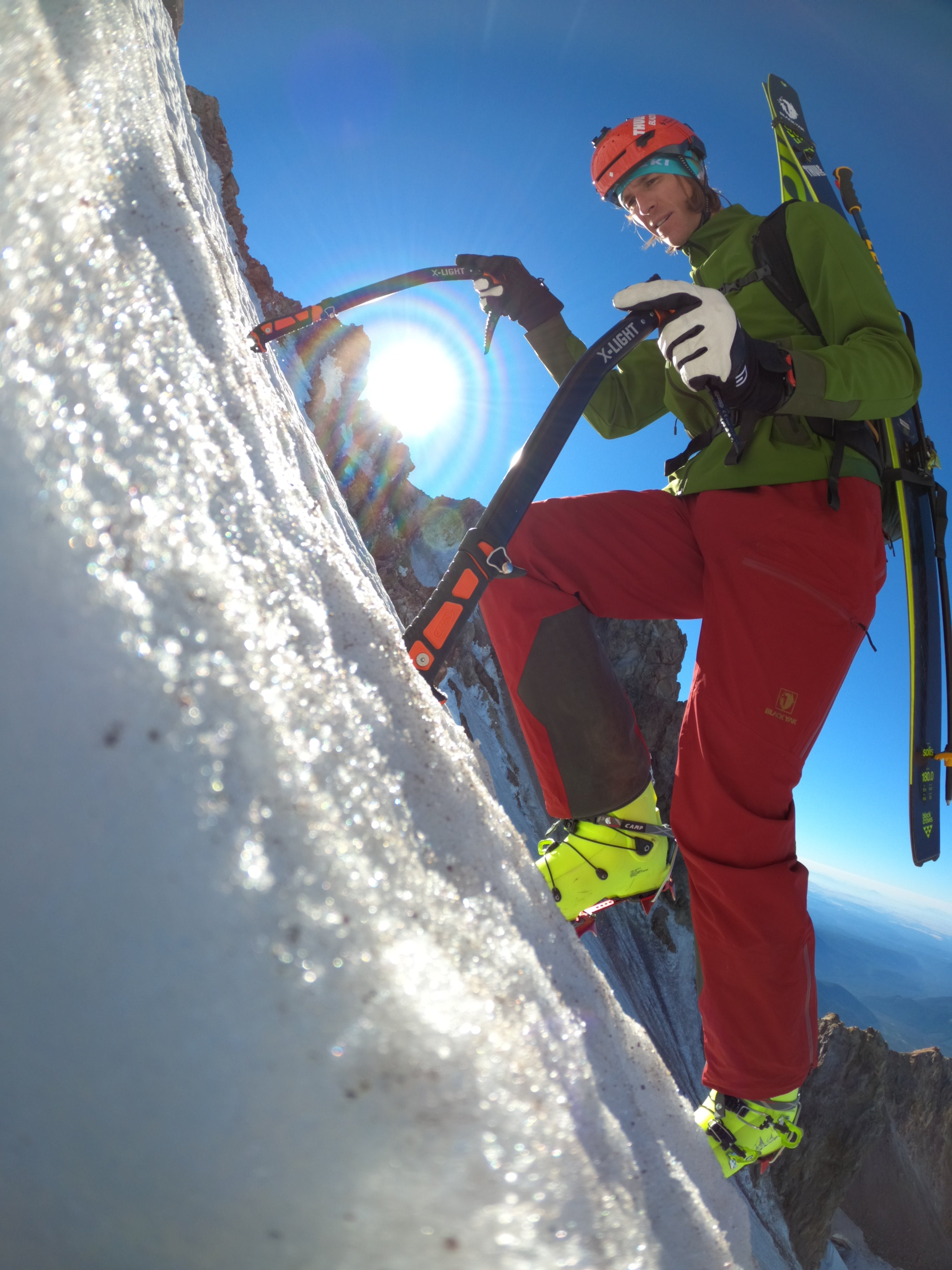 Athlete Picks - Super Frenchie