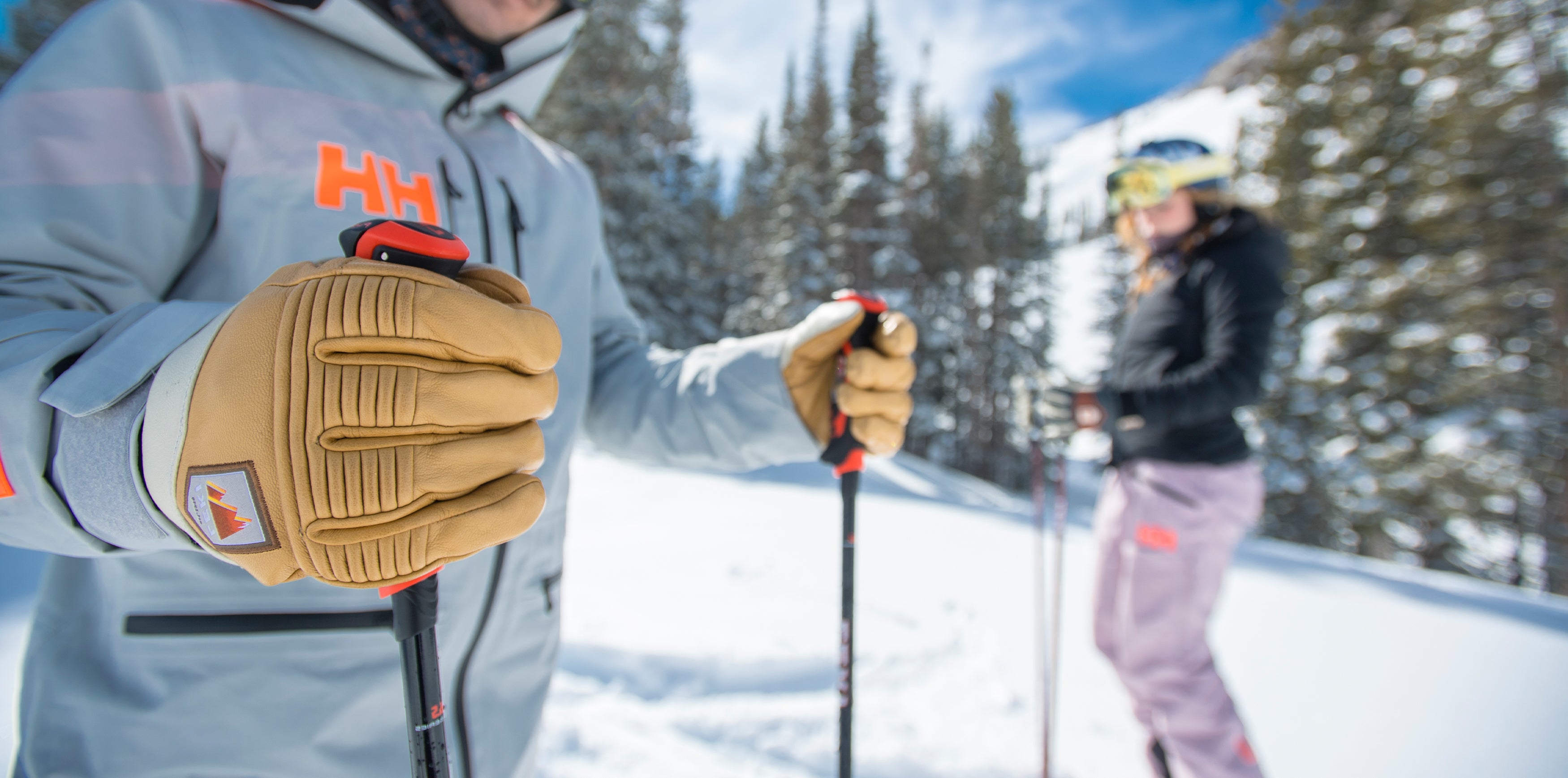 Alpine Skiing Gloves