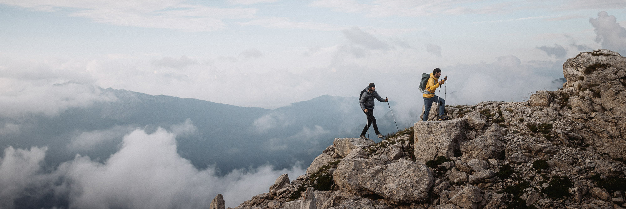 TREKKING POLES FOR TRAVEL