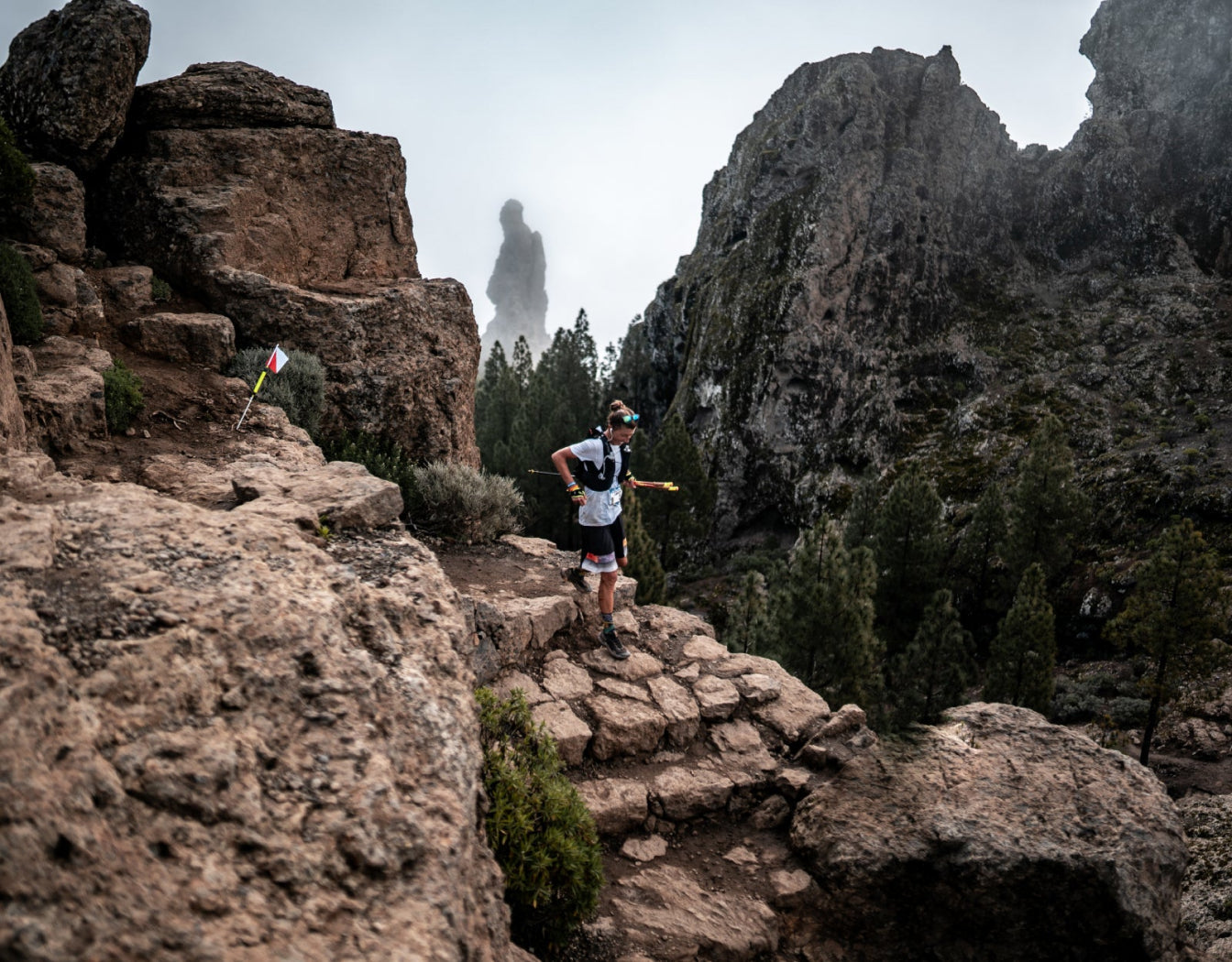 Trail Running Poles